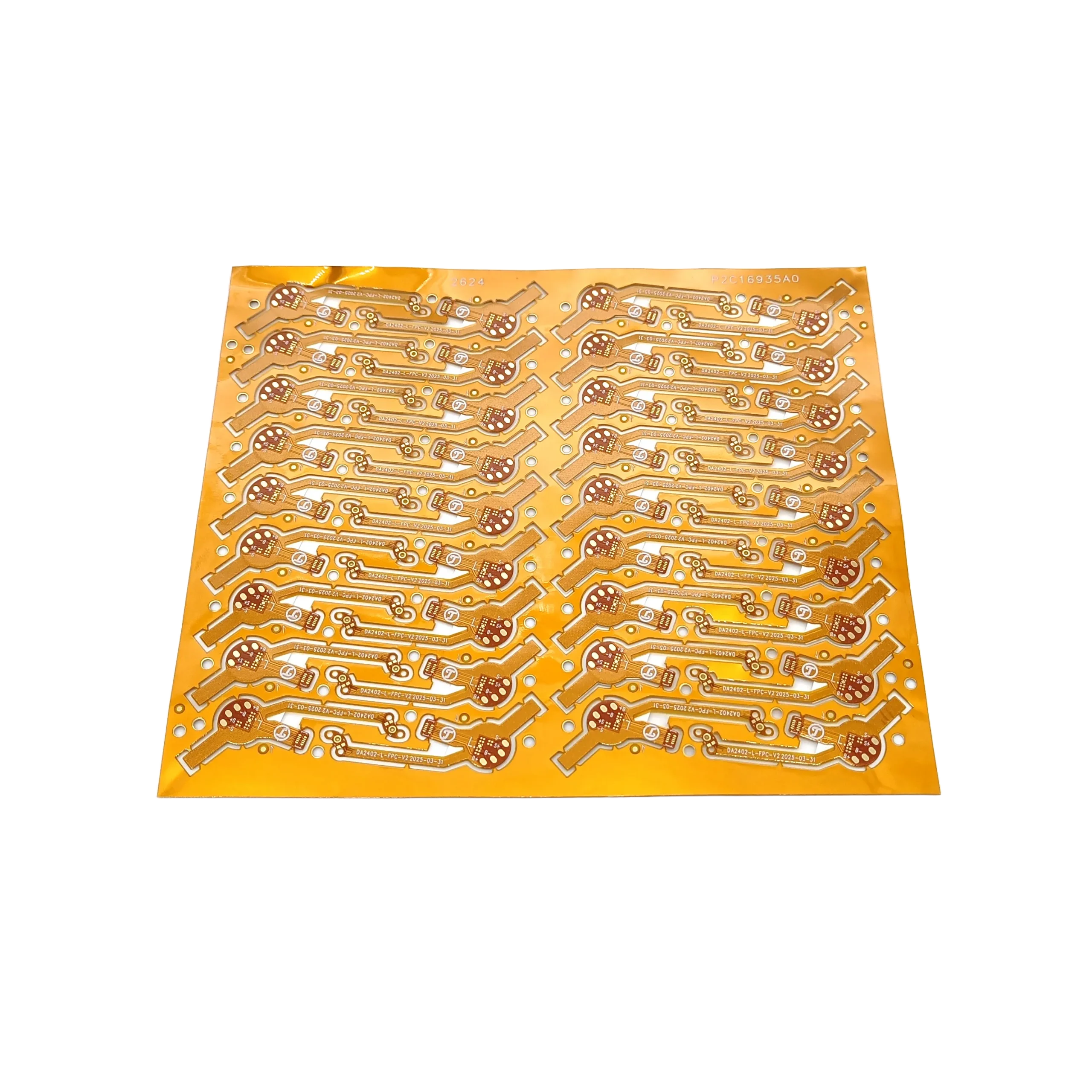 Flex PCB 1 (1)