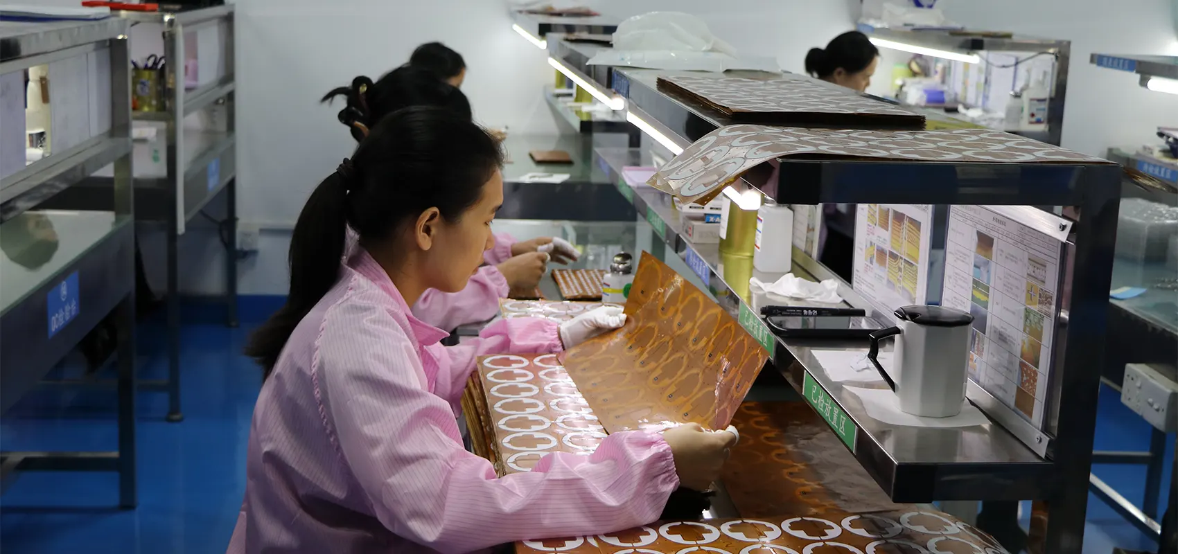 Flex PCB Assembly