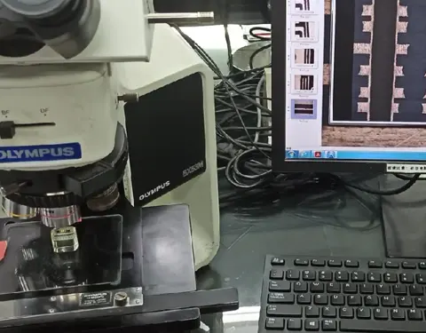 Microsection Analysis